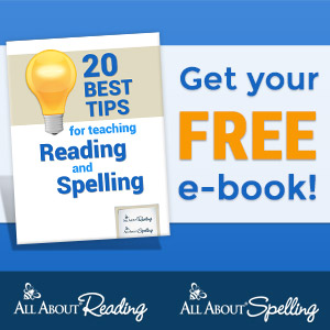 20 Best Tips for Teaching Reading and Spelling