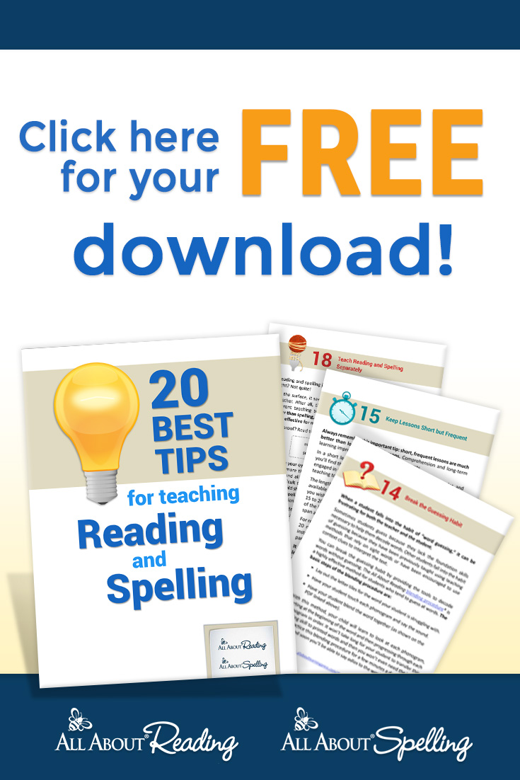 20 Best Tips for Teaching Reading and Spelling