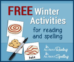 Winter Practice Activities for Reading and Spelling